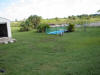 Looking towards the shed and covered garden