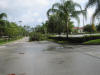 Tree down in the road, tons of trees were down