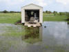 I threw much of the lanai stuff into the shed