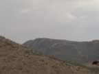 IMG_0594.jpg (12kb)